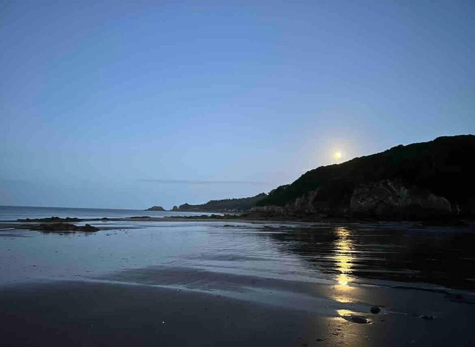 Rhodewood House Saundersfoot Lejlighed Eksteriør billede